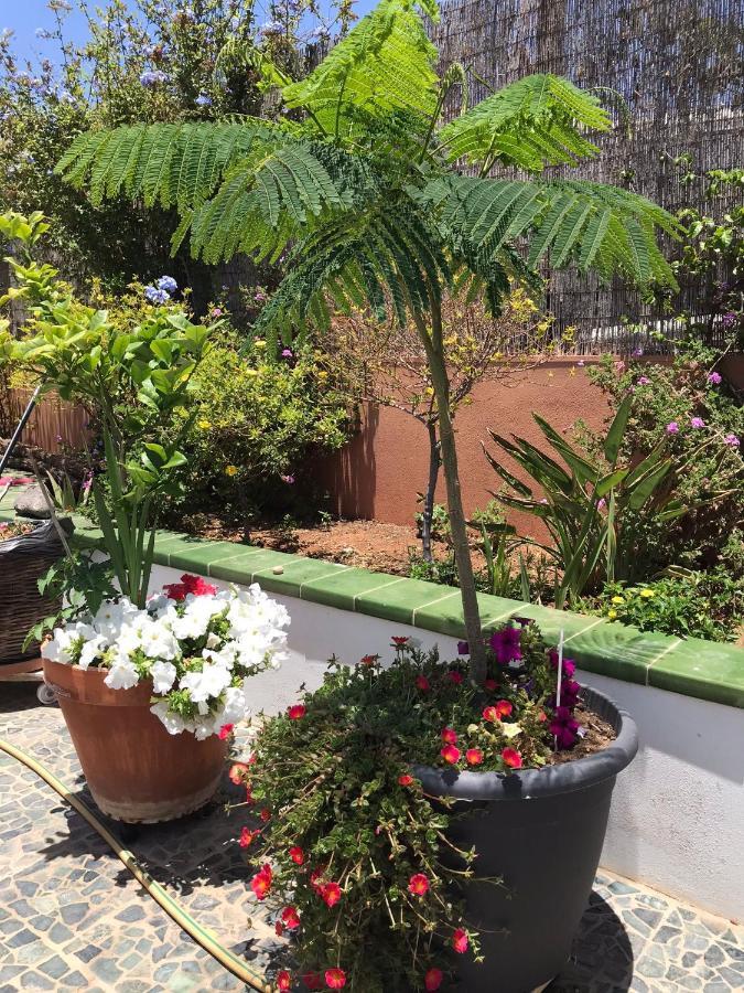 Apartamento Con Encanto En La Playa Frente Al Mar "Posada Rent House" Пуерто-дель-Росаріо Екстер'єр фото